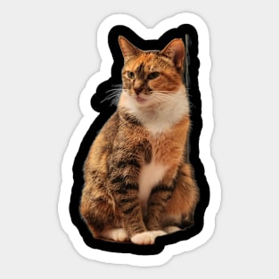 Jasmine Sticker